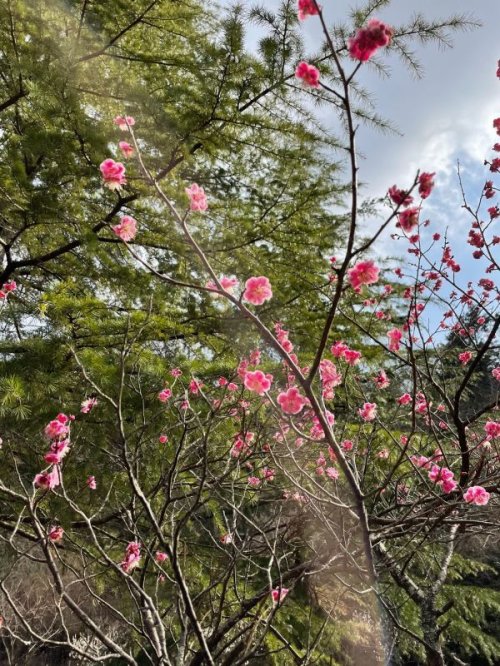 「自然環境に感謝しよう、そして地球の悲鳴に耳を傾けよう～社会貢献よりも、SDGSよりももっともっと大切なこと～」