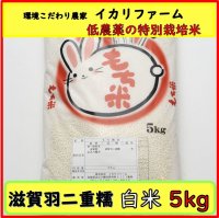 【６年産】　滋賀羽二重糯　白米　５ｋｇ