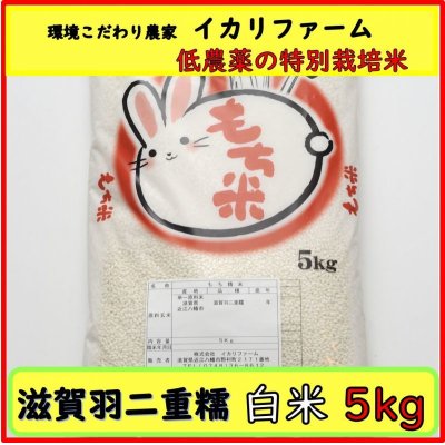 画像1: 【６年産】　滋賀羽二重糯　白米　５ｋｇ