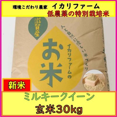 画像2: 新米　【６年産】ミルキークイーン　玄米30kg（30ｋｇ×１袋）　