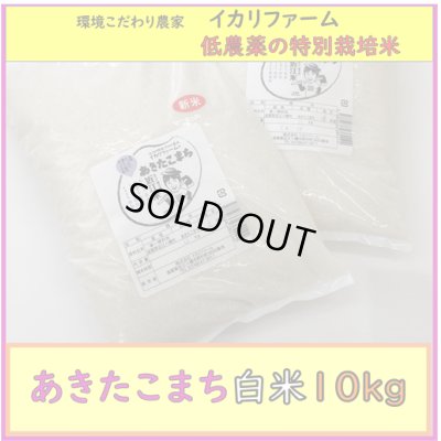 画像1: 【４年産】あきたこまち　白米10kg