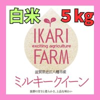 新米　【６年産】ミルキークイーン　白米5kg　