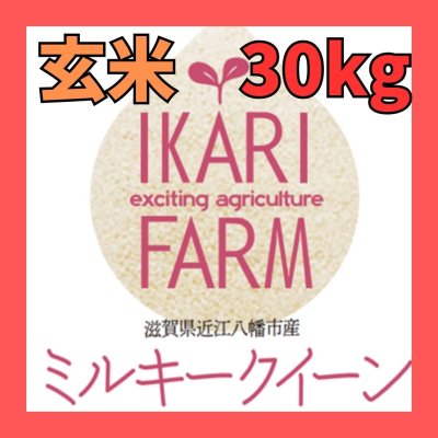 画像1: 新米　【６年産】ミルキークイーン　玄米30kg（30ｋｇ×１袋）　