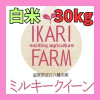 新米　【６年産】ミルキークイーン　白米30kg（30ｋｇ×１袋）　