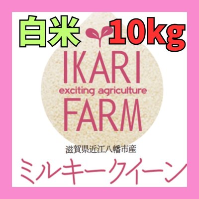 画像1: 新米　【６年産】ミルキークイーン　白米10kg（5ｋｇ×２袋）　