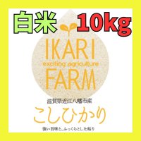 新米【６年産】コシヒカリ　白米10kg（5ｋｇ×2袋）