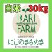 画像1: 新米【６年産】にじのきらめき　白米30kg (1)