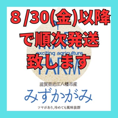 画像2: 【６年産】みずかがみ　玄米３０kg　