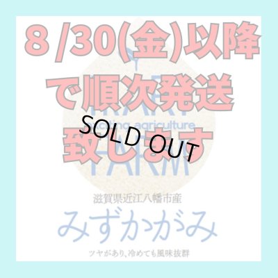 画像2: 【６年産】みずかがみ　白米１０kg（5ｋｇ×２袋）　