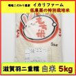 画像1: 【６年産】　滋賀羽二重糯　白米　５ｋｇ (1)