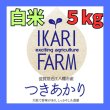 画像1: 新米　【６年産】つきあかり　白米5kg　 (1)