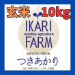 画像1: 新米　【６年産】つきあかり　玄米10kg（5ｋｇ×2袋） (1)