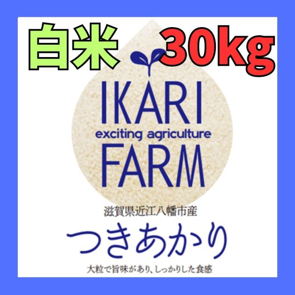 画像1: 新米　【６年産】つきあかり　白米３０kg（30ｋｇ×１袋）　★予約★9/10以降での発送予定 (1)