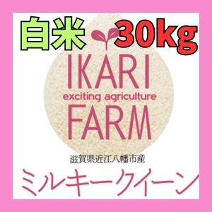 画像: 新米　【６年産】ミルキークイーン　白米30kg（30ｋｇ×１袋）　