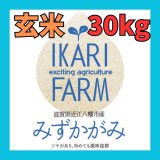 画像: 【６年産】みずかがみ　玄米３０kg　