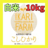 画像: 新米【６年産】コシヒカリ　白米10kg（5ｋｇ×2袋）