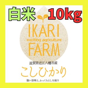 画像: 新米【６年産】コシヒカリ　白米10kg（5ｋｇ×2袋）