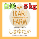 画像: 新米【６年産】しきゆたか　白米5kg