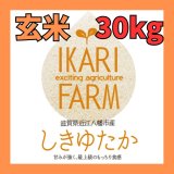 画像: 新米【６年産】しきゆたか　玄米３０kg