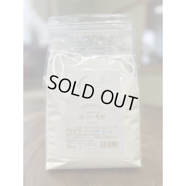 画像1: IKARIFARMのパン用小麦粉　1.5ｋｇ　100％近江八幡市産 (1)