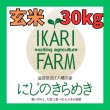 画像1: 新米【６年産】にじのきらめき　玄米３０kg (1)