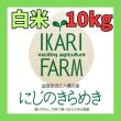 画像1: 新米【６年産】にじのきらめき　白米１０kg (1)