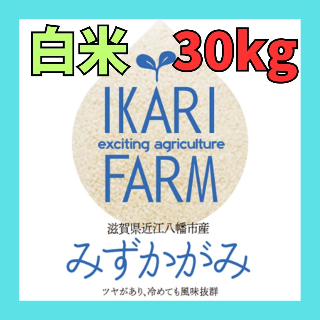 ６年産】みずかがみ 白米３０kg - イカリファーム