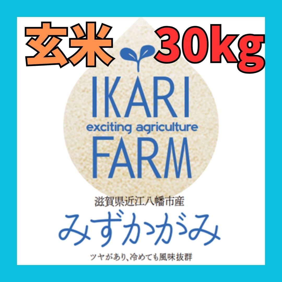 ６年産】みずかがみ 玄米３０kg - イカリファーム