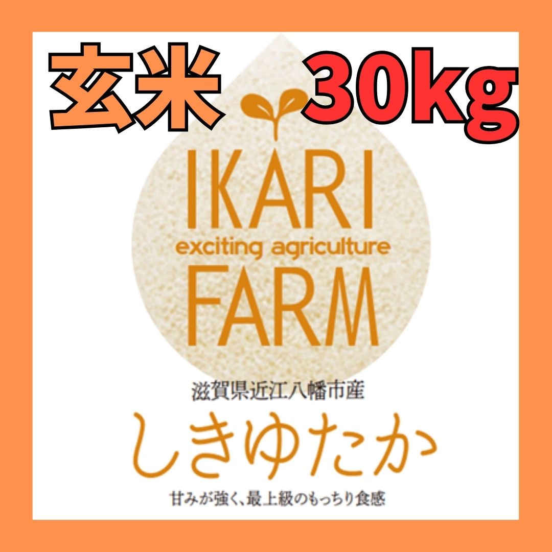 新米【６年産】しきゆたか 玄米３０kg - イカリファーム